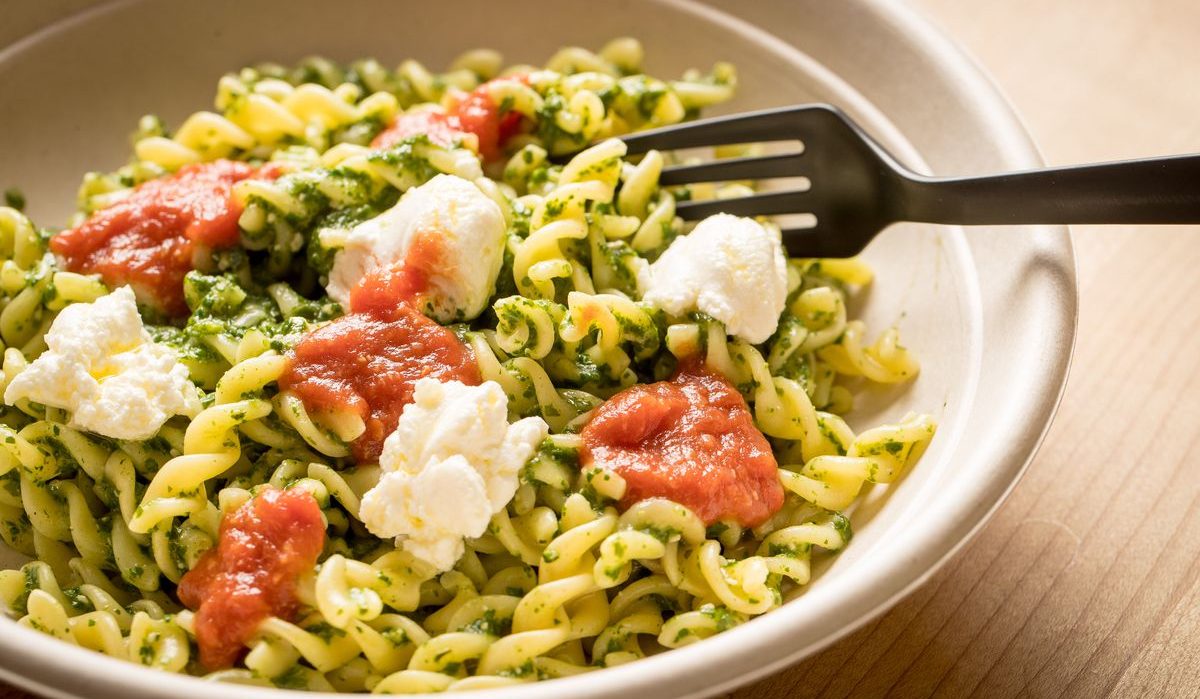  Price and purchase of Calamarata Pasta with Ricotta and Peas + Cheap sale 